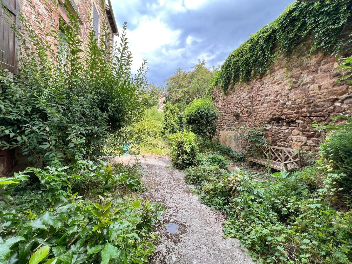Le Place Du Bourg Appartement T2 Centre Historique روديه المظهر الخارجي الصورة